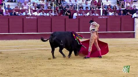 canal sur en directo tv|canal sur toros en directo.